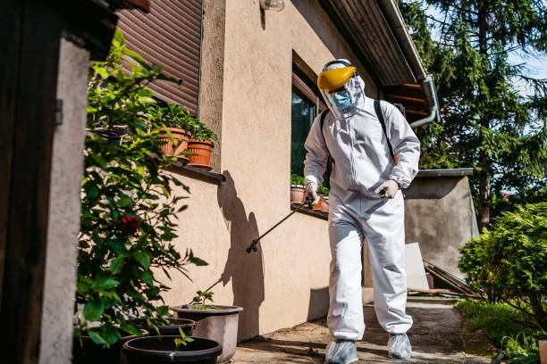 Bird Control in Bloomfield Hills, MI