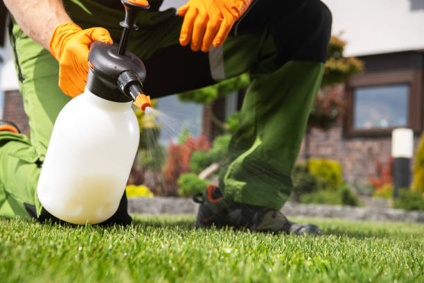 Best Local Pest Control Services  in Bloomfield Hills, MI