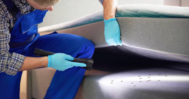 Best Affordable Pest Control Services  in Bloomfield Hills, MI