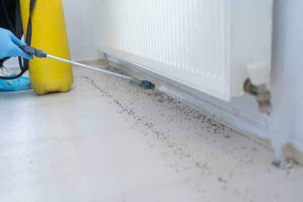 Best Cockroach Control Services  in Bloomfield Hills, MI